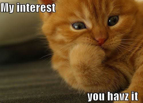 interested-cat.jpg