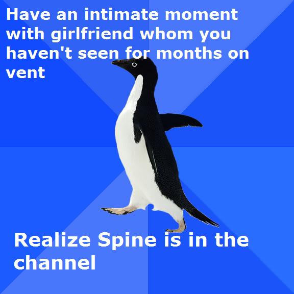 spinepenguin.jpg