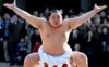 sumo-champion-asash_684552c.jpg