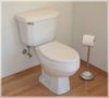 Bullseye-Plumbing-Toilet-Image.jpg